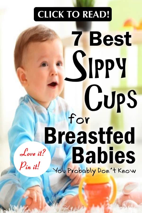 7 Best Sippy Cups for Breastfed Babies (2021 Reviews)