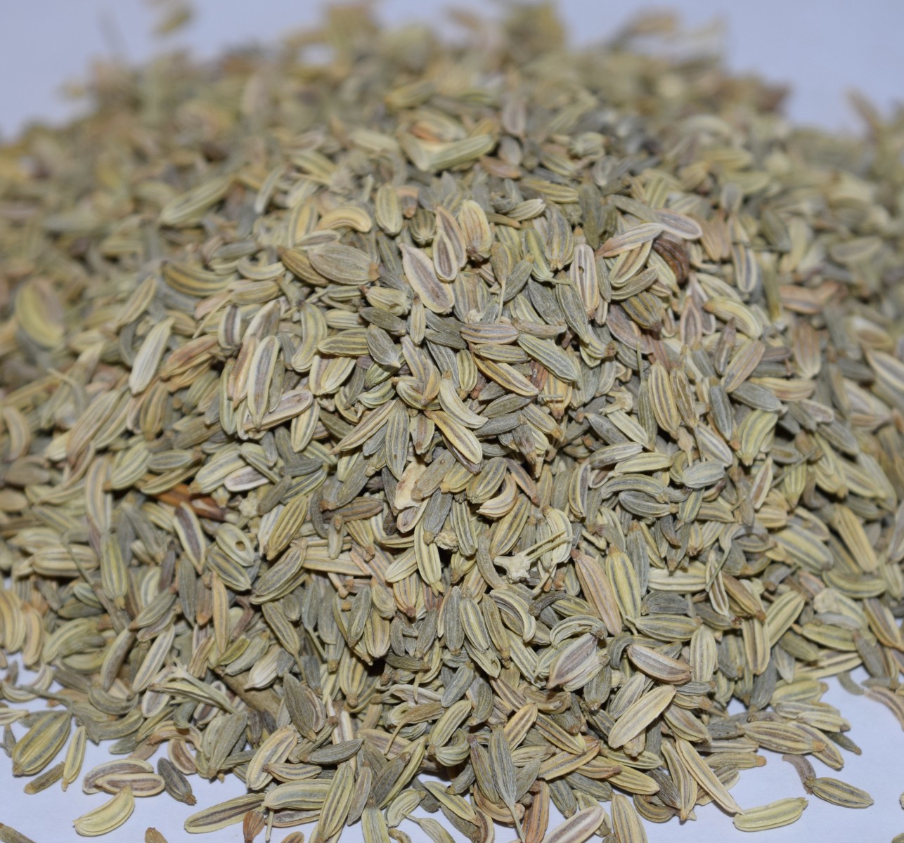 Fennel Seed (Whole) 1oz New Moon Cottage