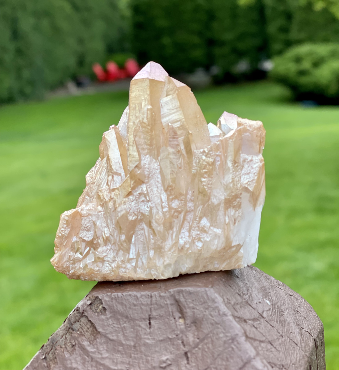 Sun Aura Quartz Cluster for Increased SelfEsteem, Self Worth, Heals