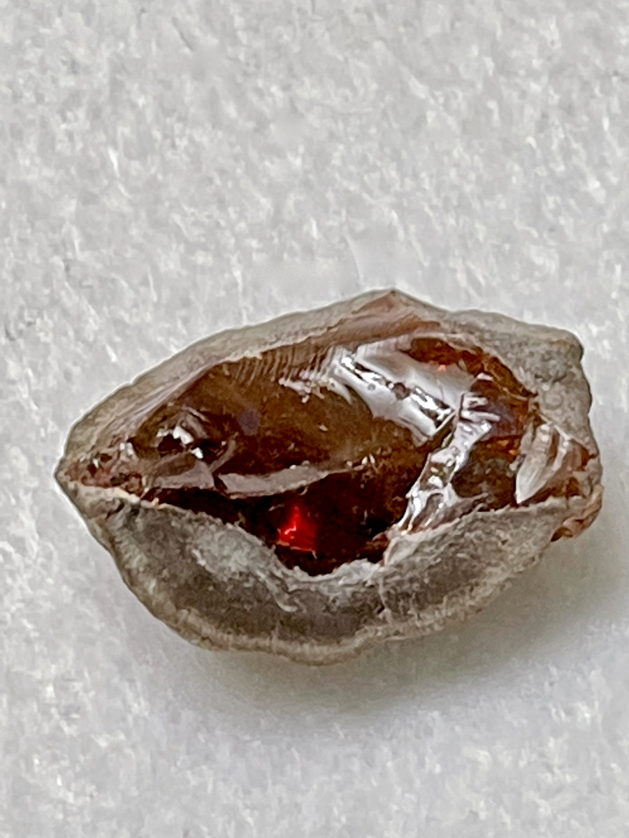 Chocolate Opal Emotionally Supportive (High Quality) New Moon Cottage