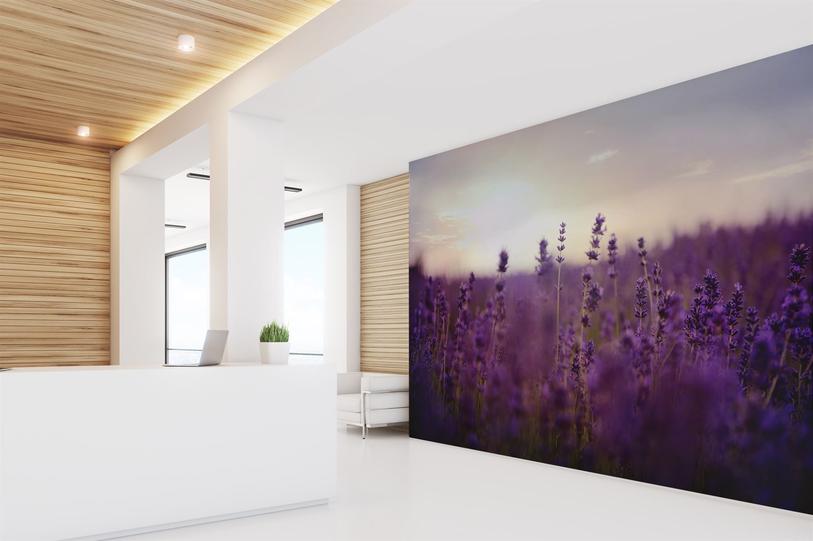 Gallery projects featuring newmor commercial wallcoverings