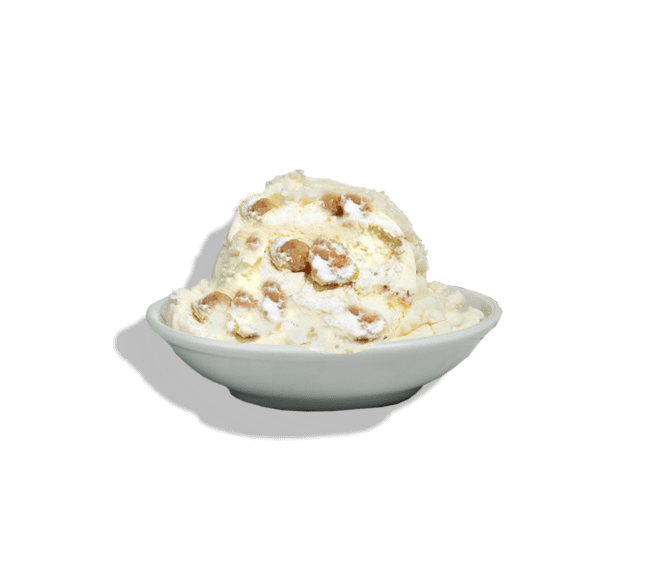 New Orleans Ice Cream Company Ultra Premium Ice Cream