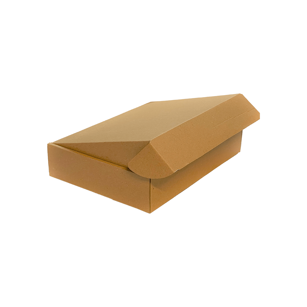 Brown Cardboard Boxes 254 X 210 X 50mm (10 X 8 X 2)'' Postal Boxes