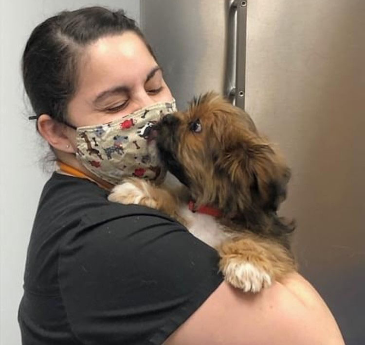 Our Prescription Policy New Paltz Veterinary Hospital