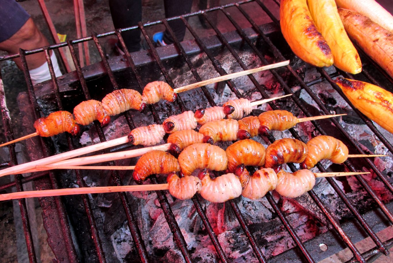 17 Weird Foods in Peru for Adventurous Eaters to Try New Peruvian