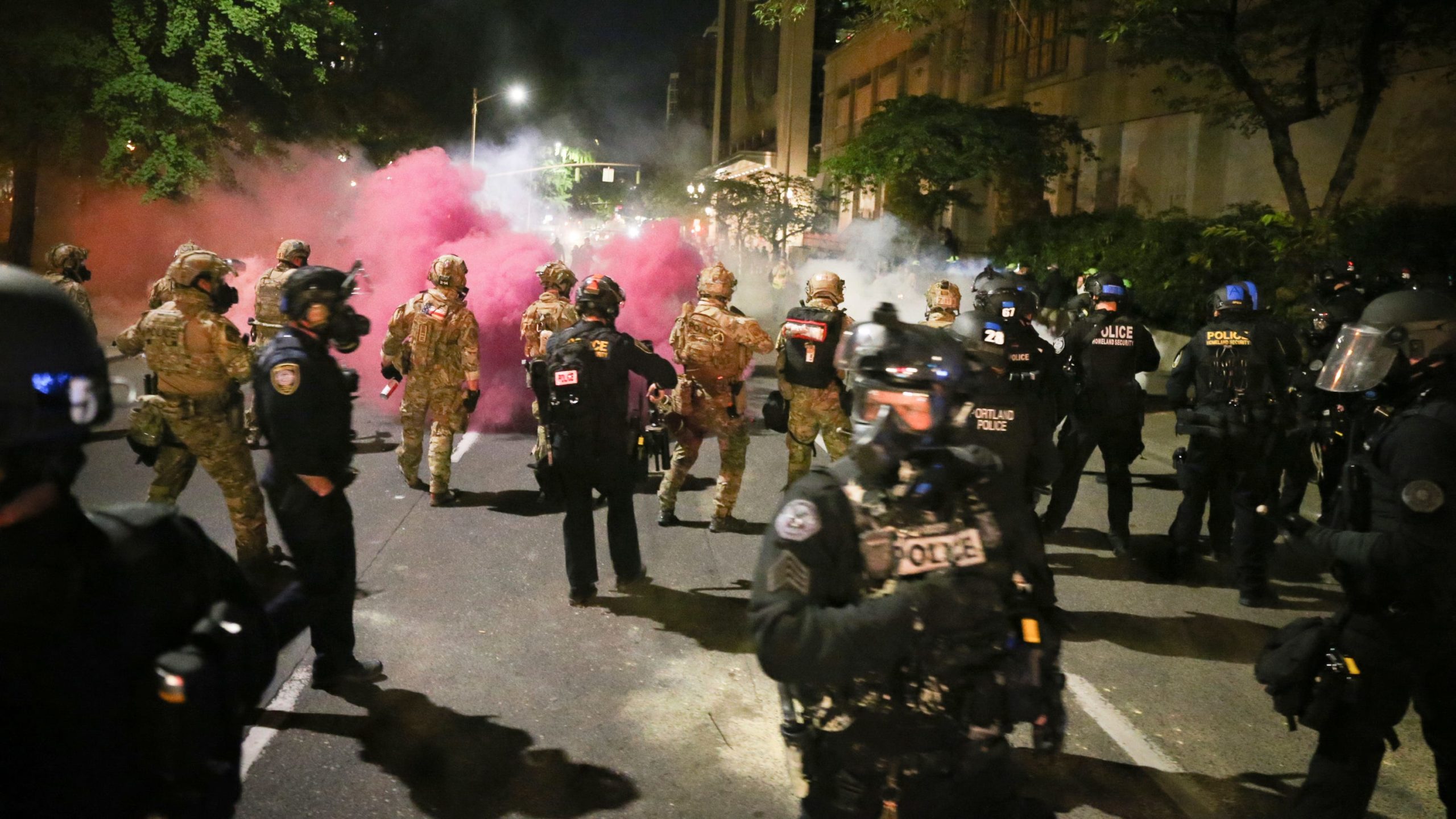 Portland Protests A Chronology of Police Repression New Politics