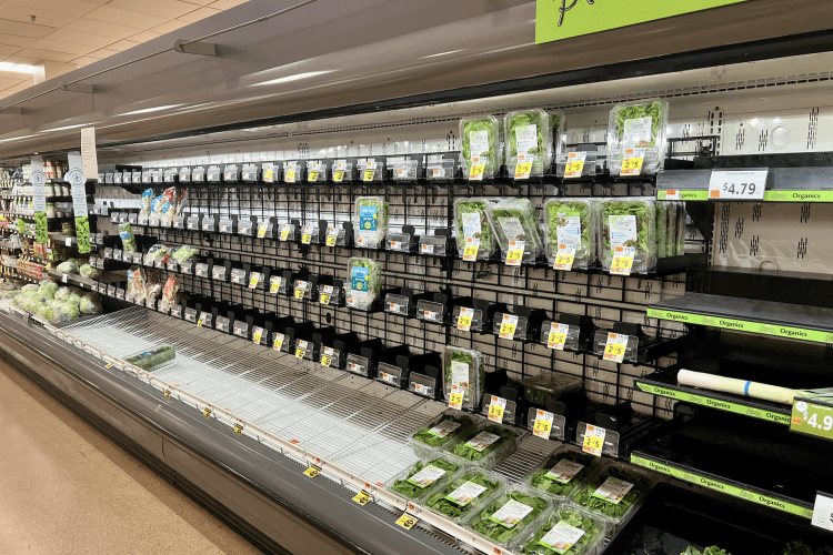 Grocery Chain Suffers Cyberattack Ahead of Thanksgiving