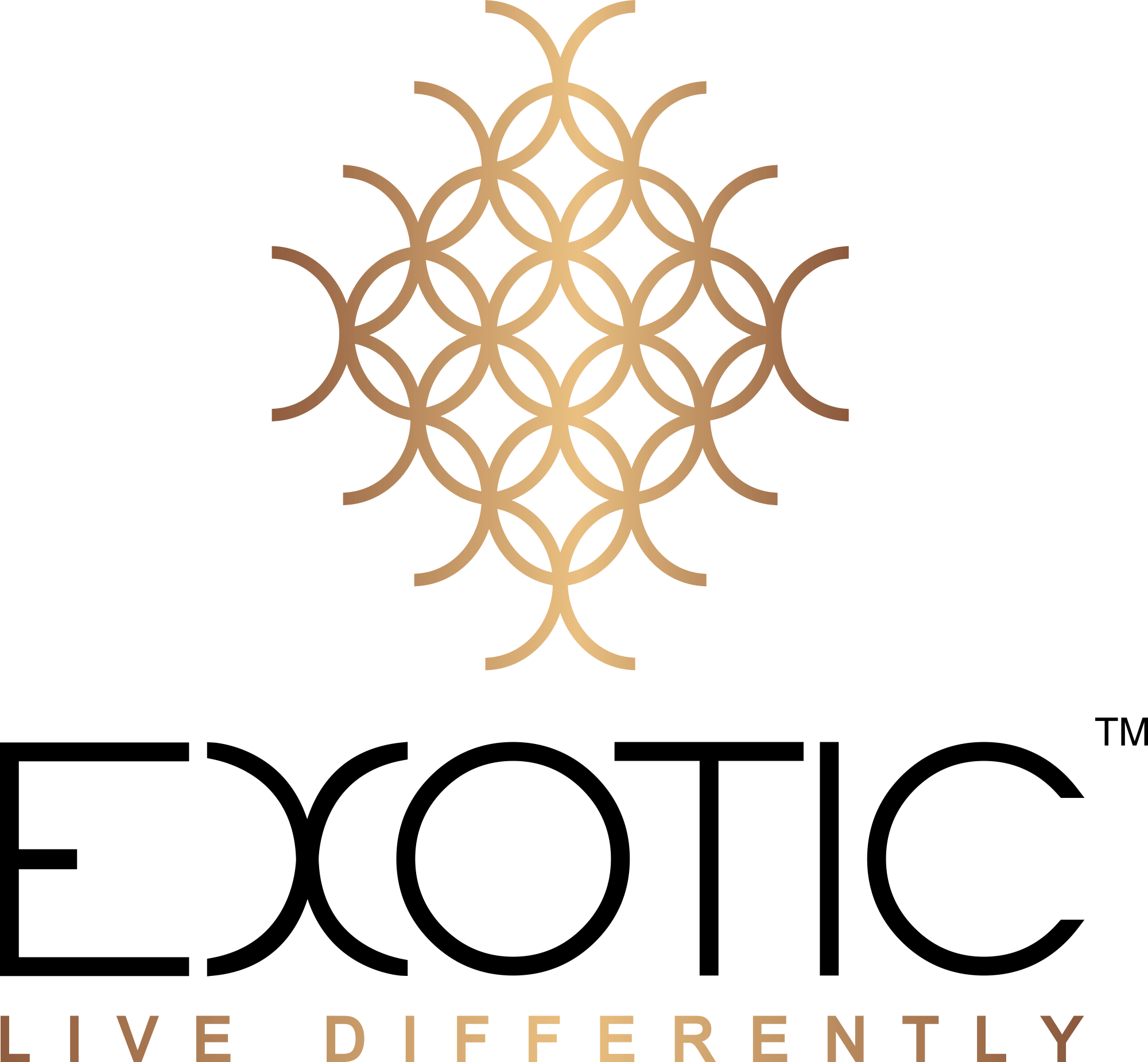 Exotic Magnifiq Panchkula, Peer Muchalla Price List & Brochure, Floor