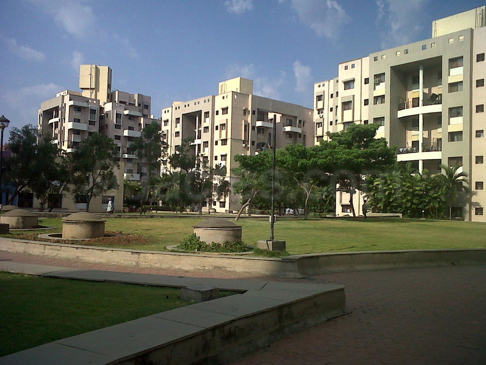 Topo 46+ imagem cosmos society br.thptnganamst.edu.vn