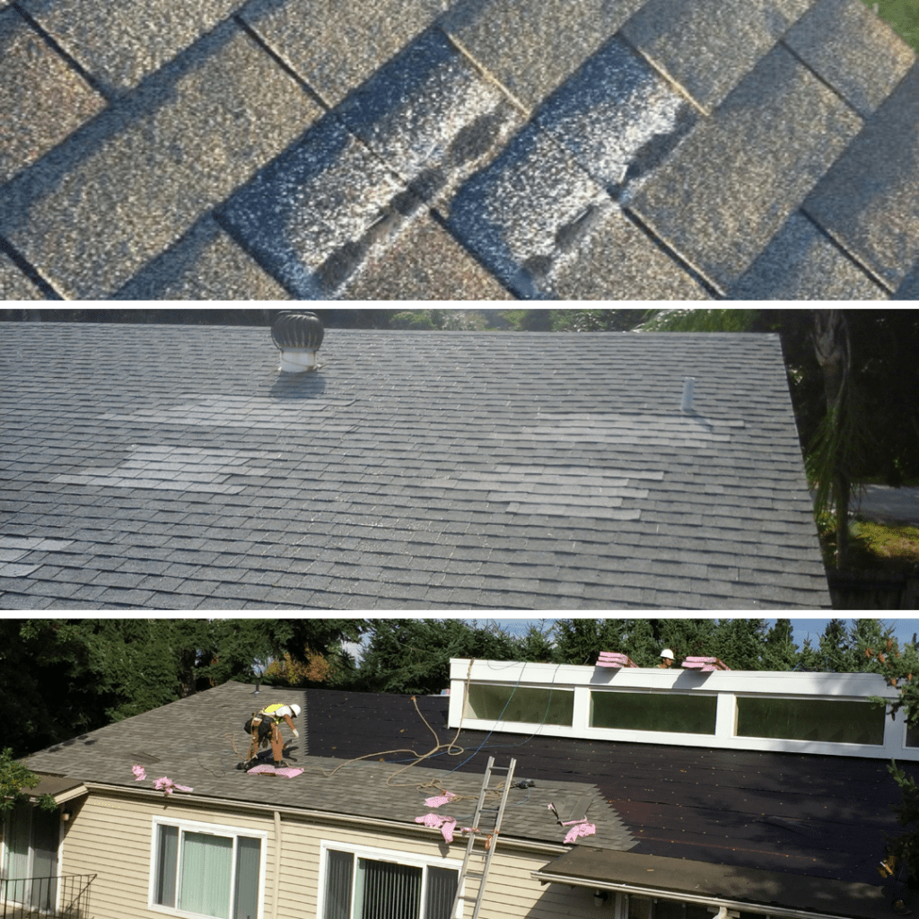 Should You Repair, Patch, or Replace Your Roof? [Roof maintenance made