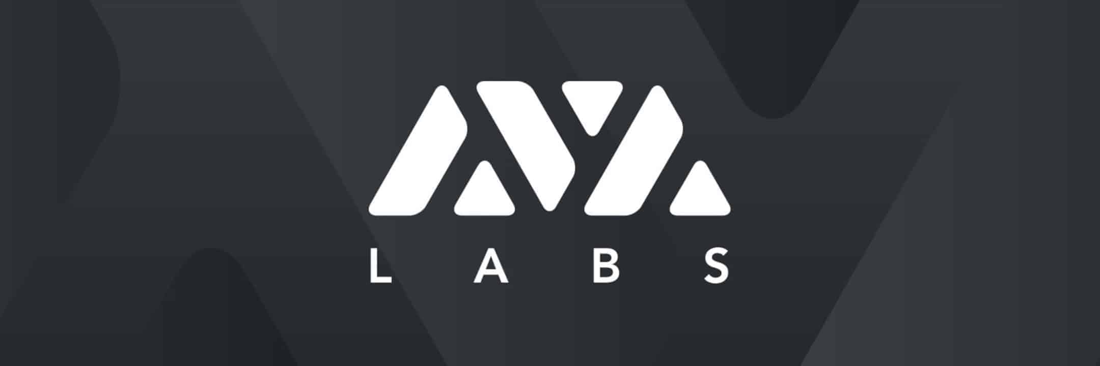 AVA Labs desarrolla su primer Hackathon Blockchain enfocado en