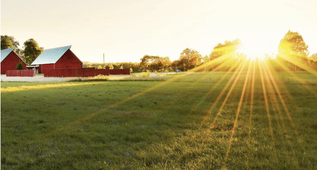 The Best Arbor One Farm Credit Ideas