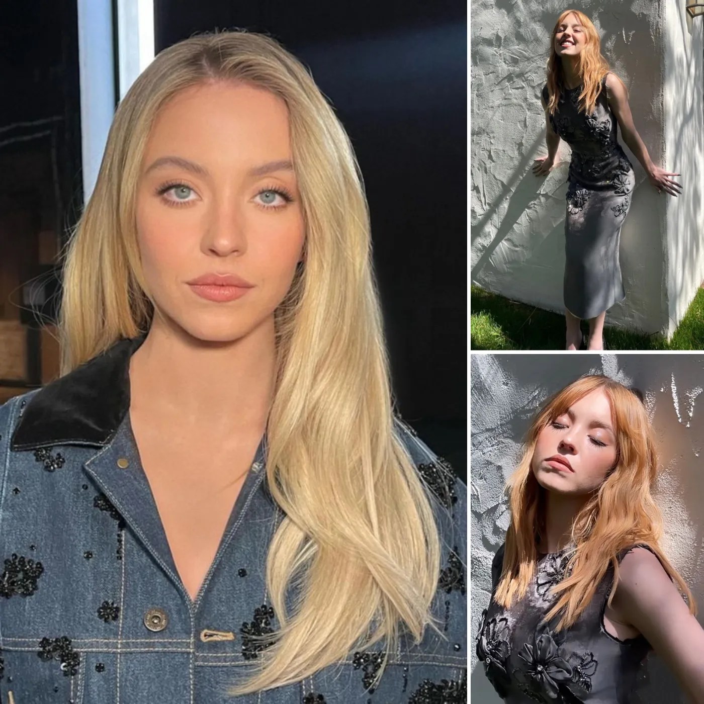 Sydney Sweeney The Untold Truth Behind Her Meteoric Hollywood Rise