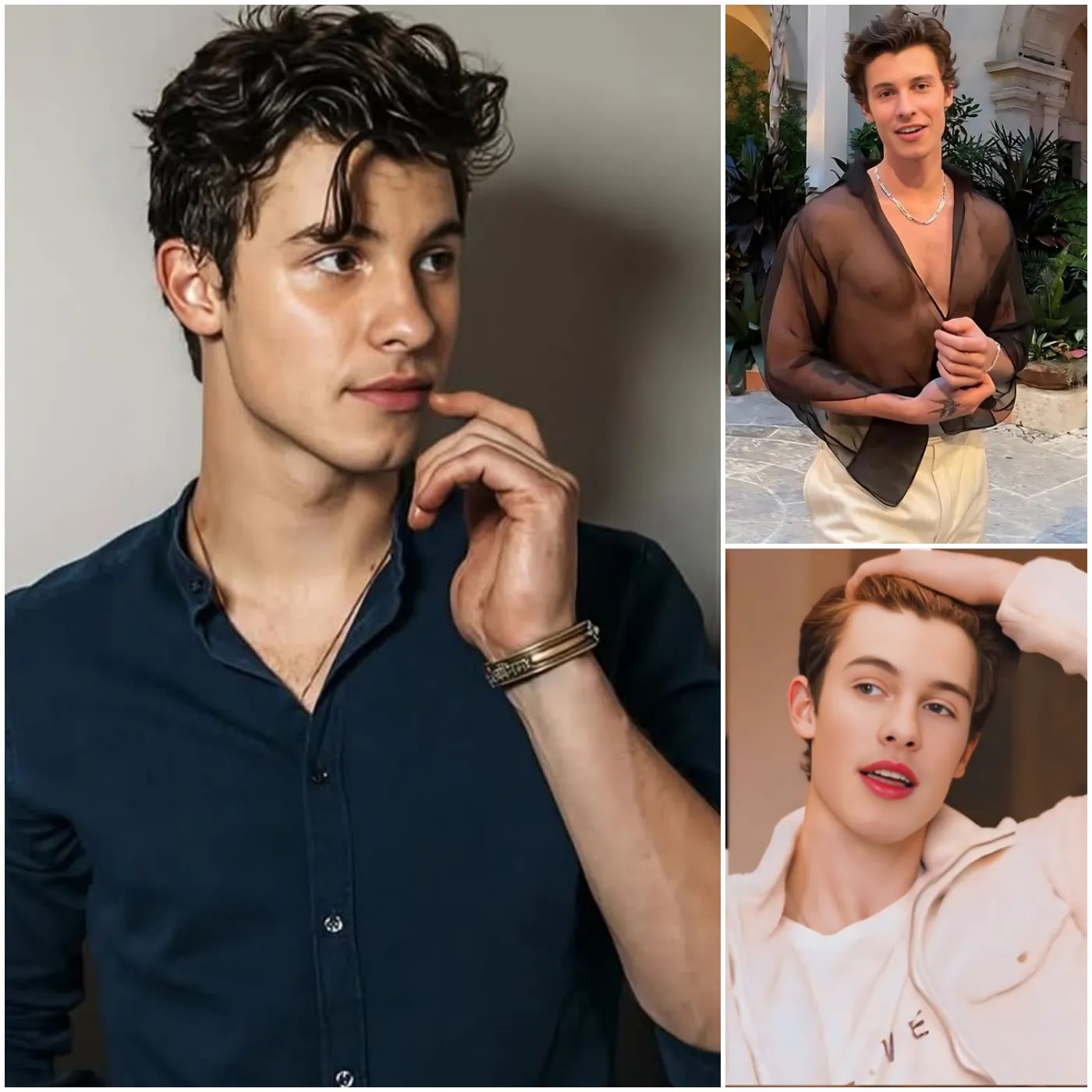 Shawn Mendes' Shocking Transformation, What Is That Image Hiding?(03)