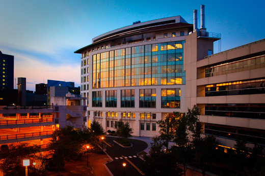 What's new in the schools for spring semester Emory University