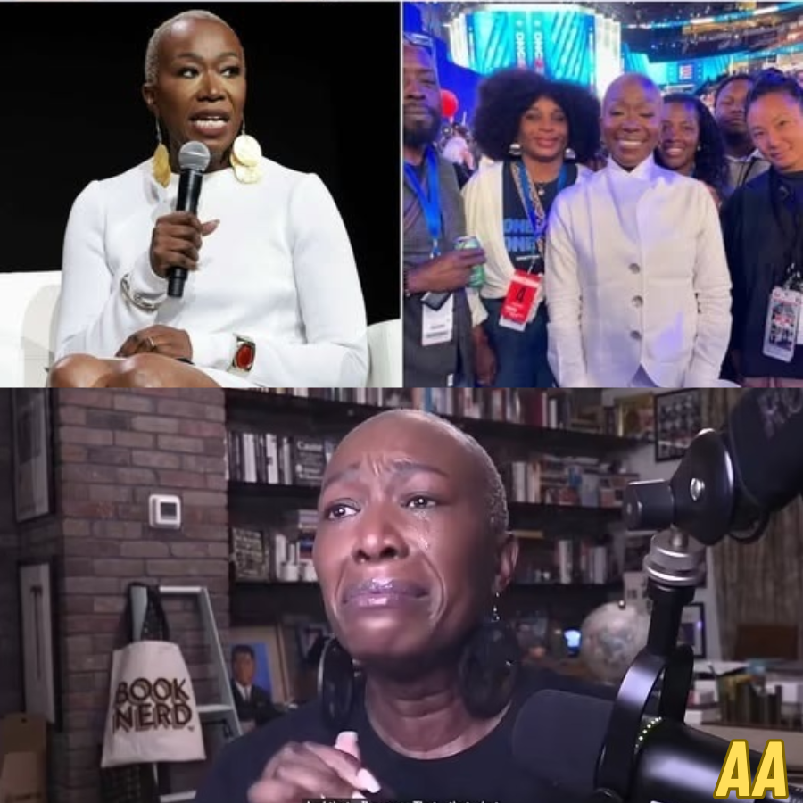 Joy Reid Breaks Silence After Being Fired from MSNBC The Real Reason