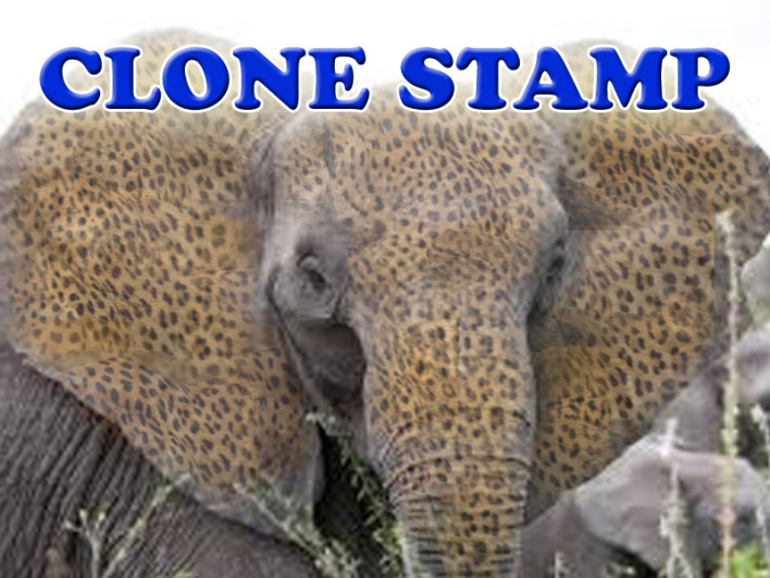 How to Use the Clone Stamp Tool in FileHippo News