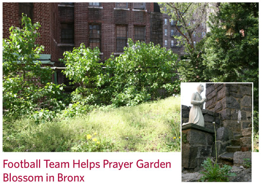 Photo Essay Football Team Helps Prayer Garden Blossom in Bronx