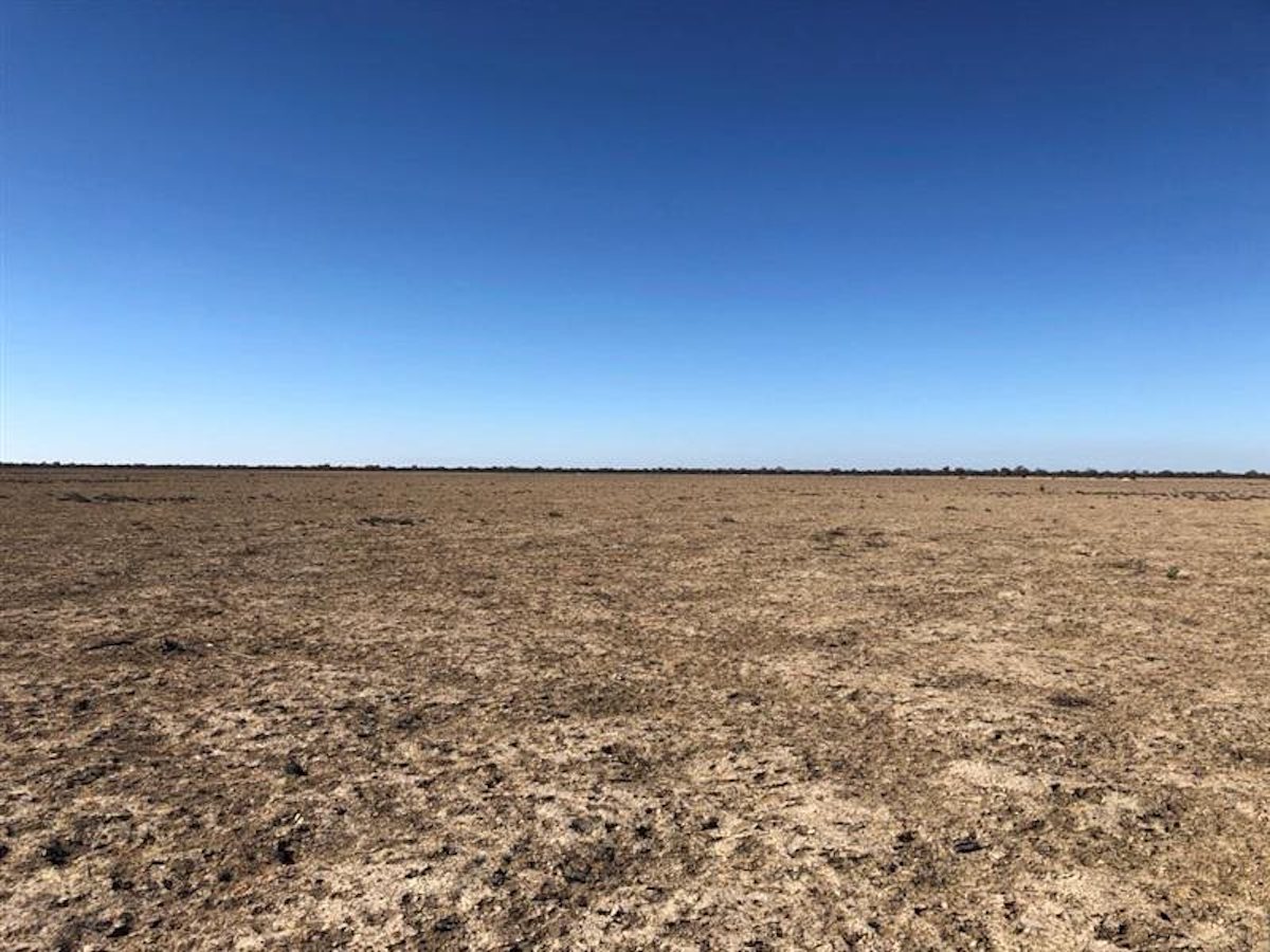Restoring abandoned agricultural land in MurrayDarling Basin The
