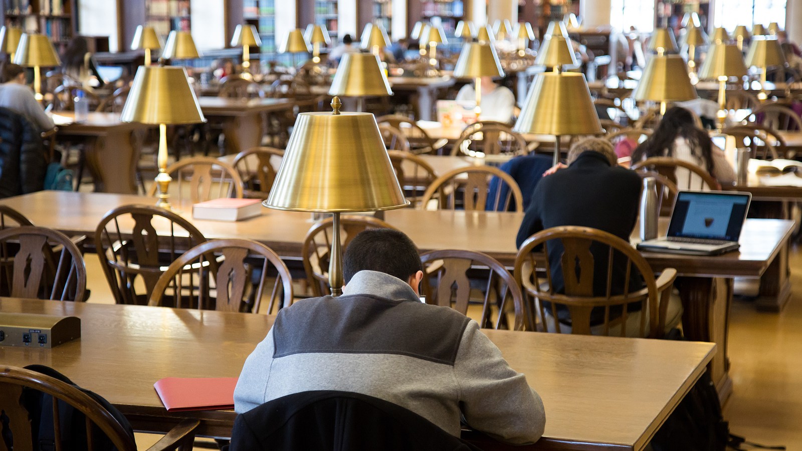 Harvard students’ favorite spots to study on campus