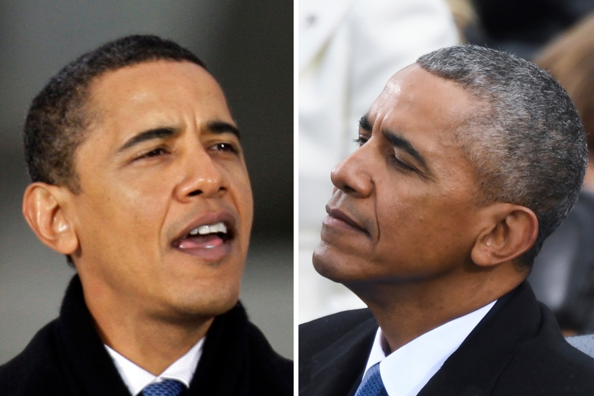 New findings suggest how stress may trigger gray hair Harvard Gazette