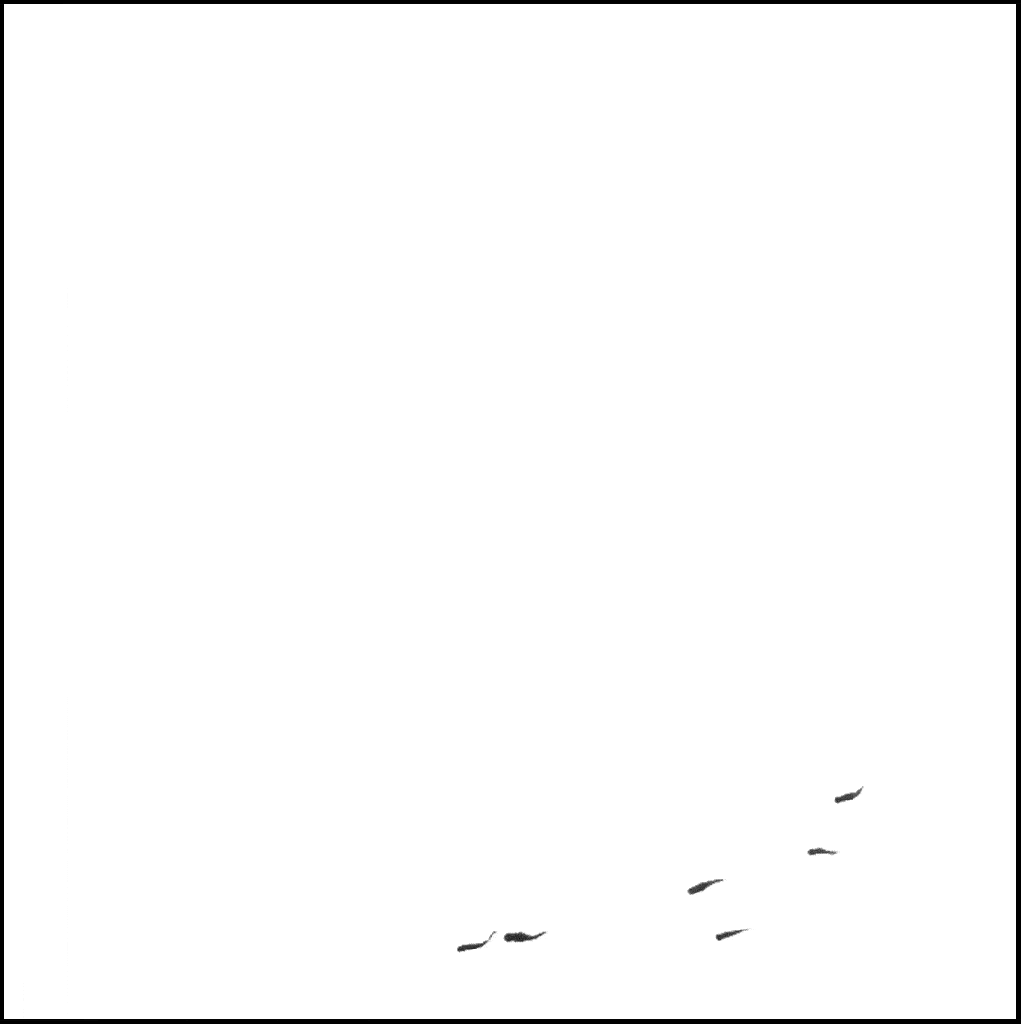 Study connects specific genes with defective social