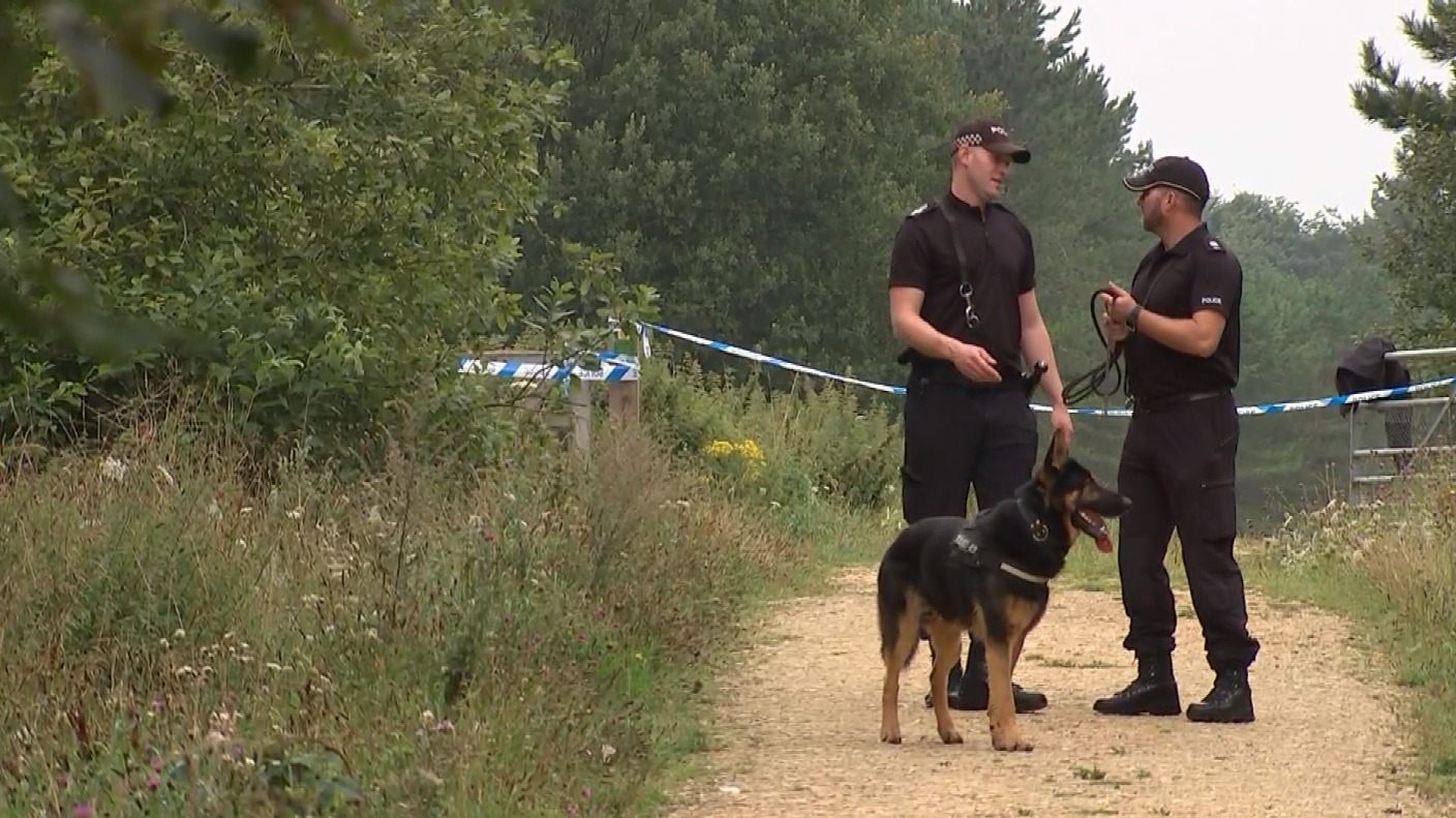 Plans for dog walking scheme after murder of pensioner Anglia ITV News
