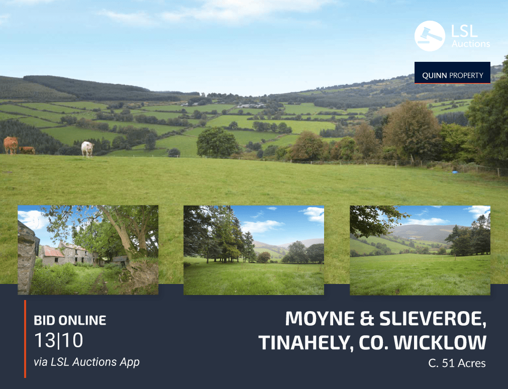 Quinn Property Moyne & Slieveroe, Tinahely, Co. Wicklow LSL