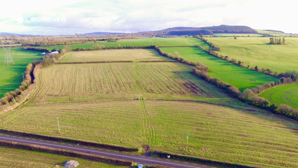 Hennessy Auctioneers Offers Prime Agricultural Land at Cashel,Ballyroan
