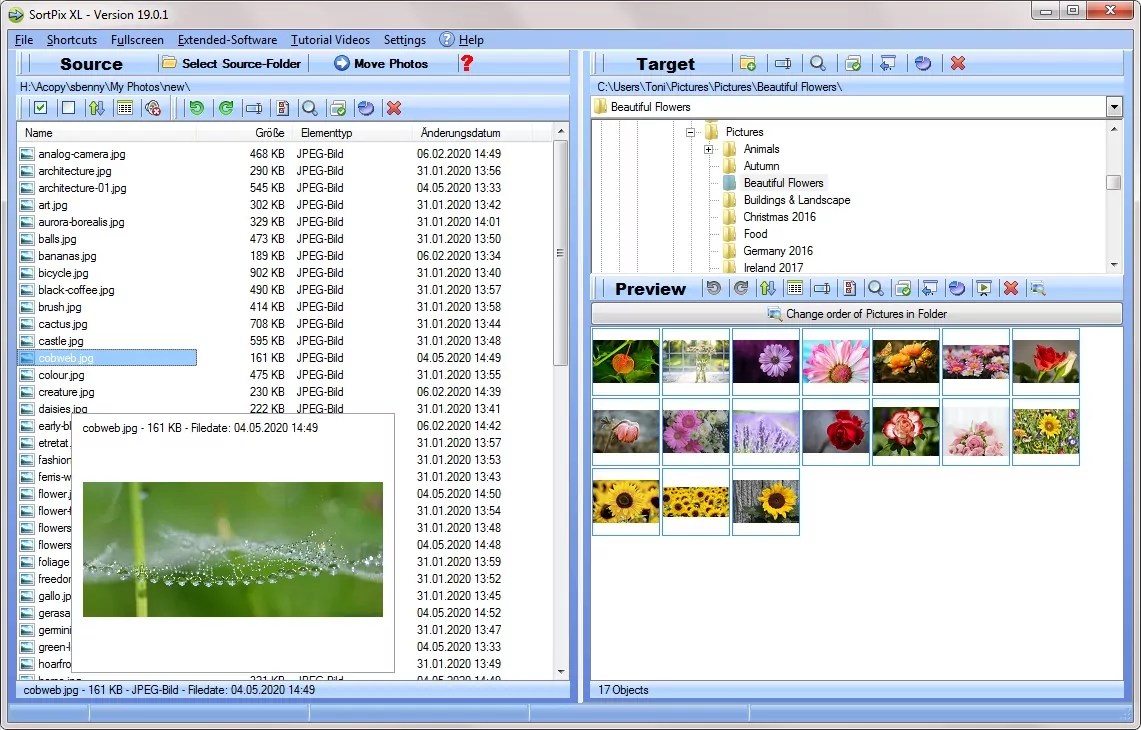 Photo organizing software free download