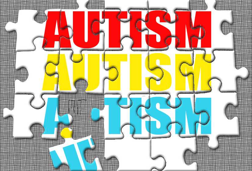 A new piece to the autism puzzle MIT News Massachusetts Institute