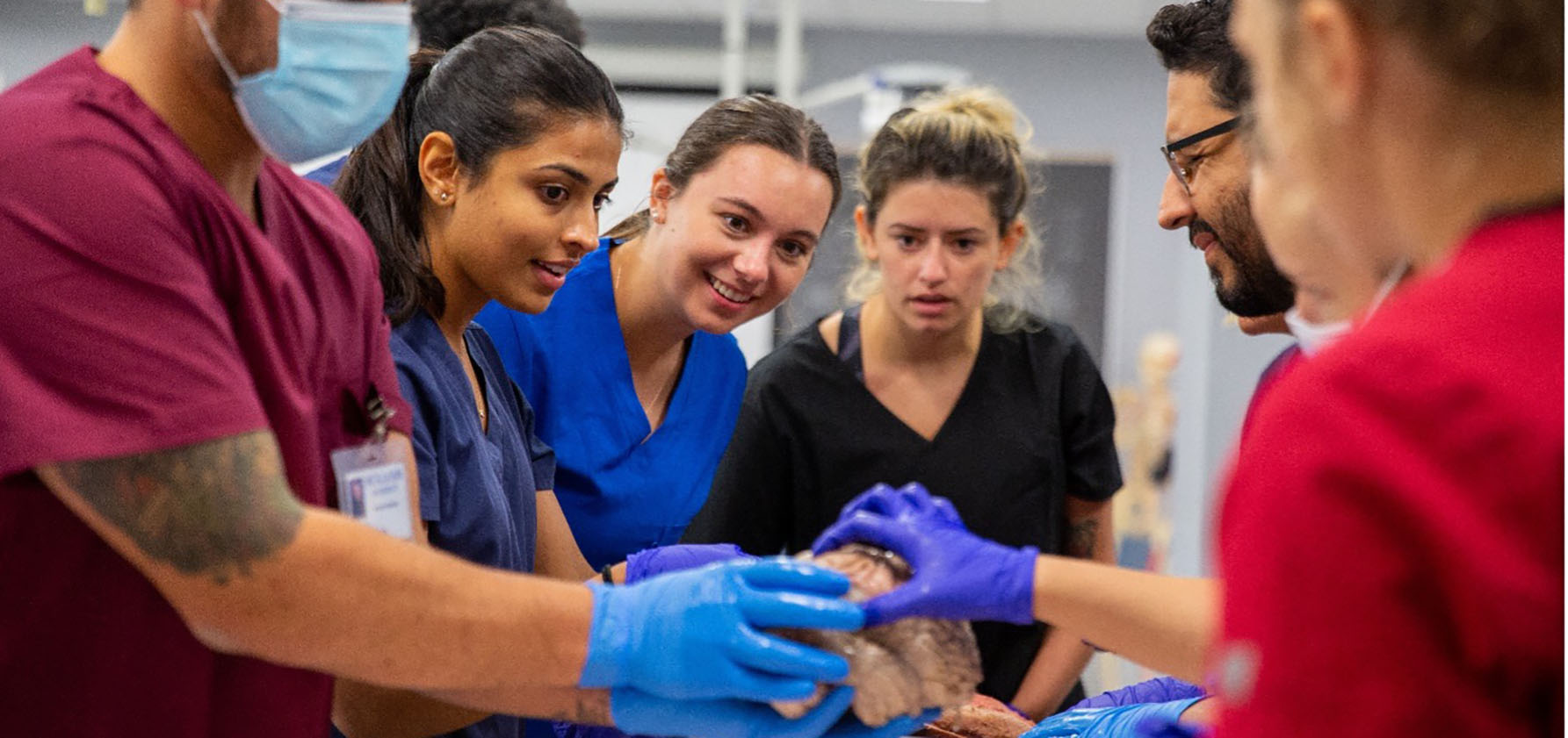 Moravian DPT Students Visit Anatomy Lab Moravian University News