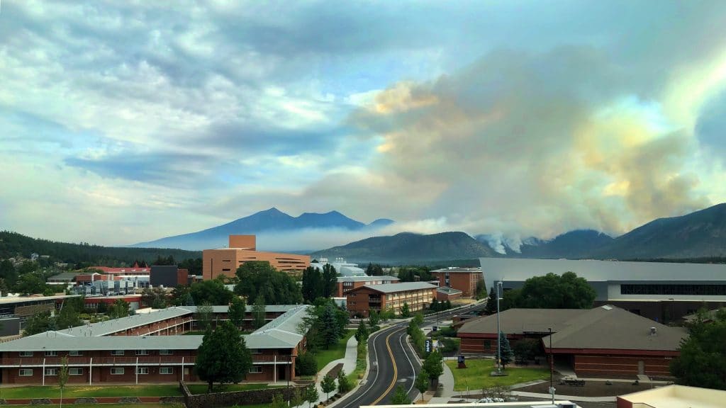 Information on Museum Fire The NAU Review