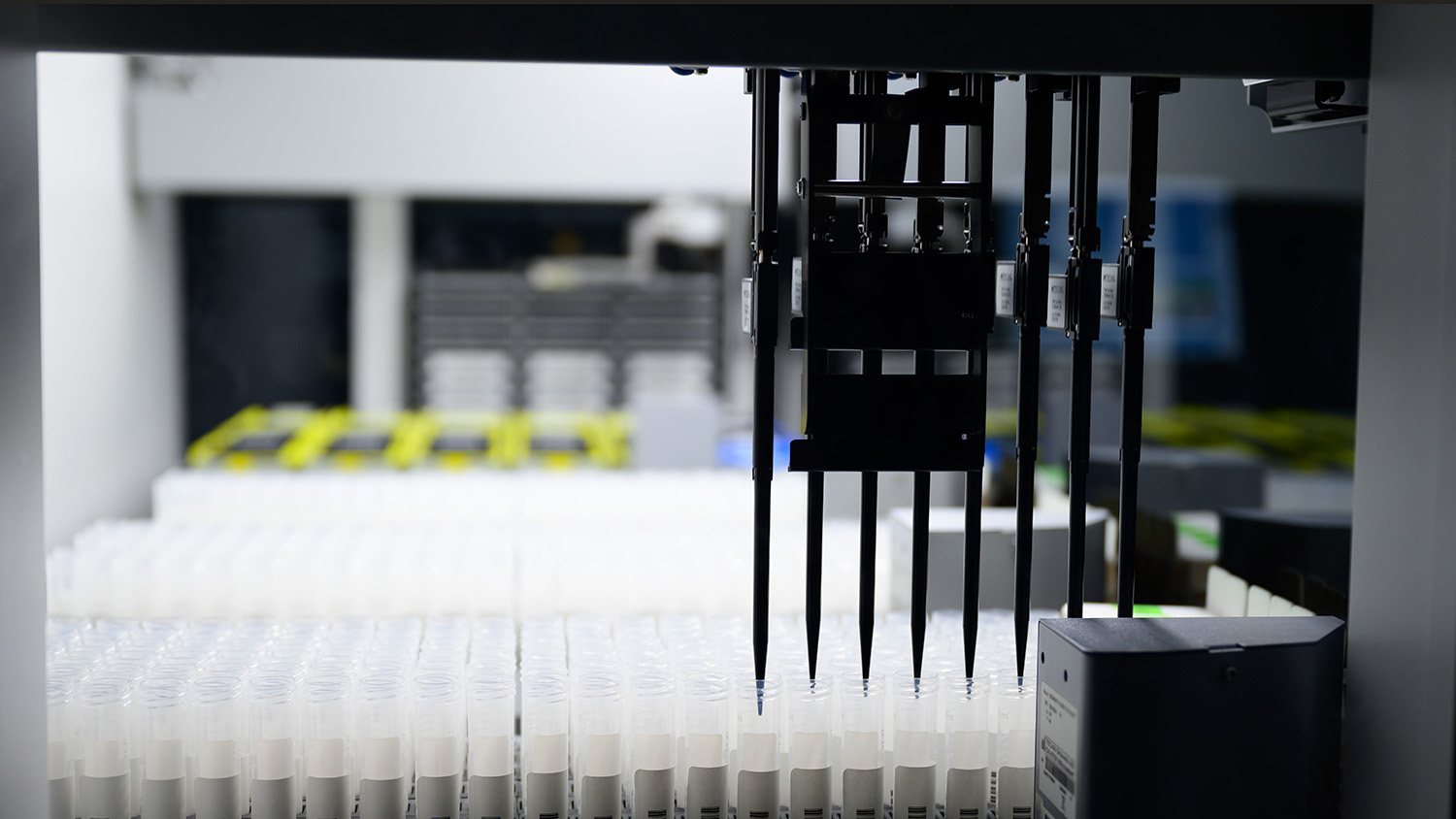 NC State Announces InHouse COVID19 Testing Labs NC State News