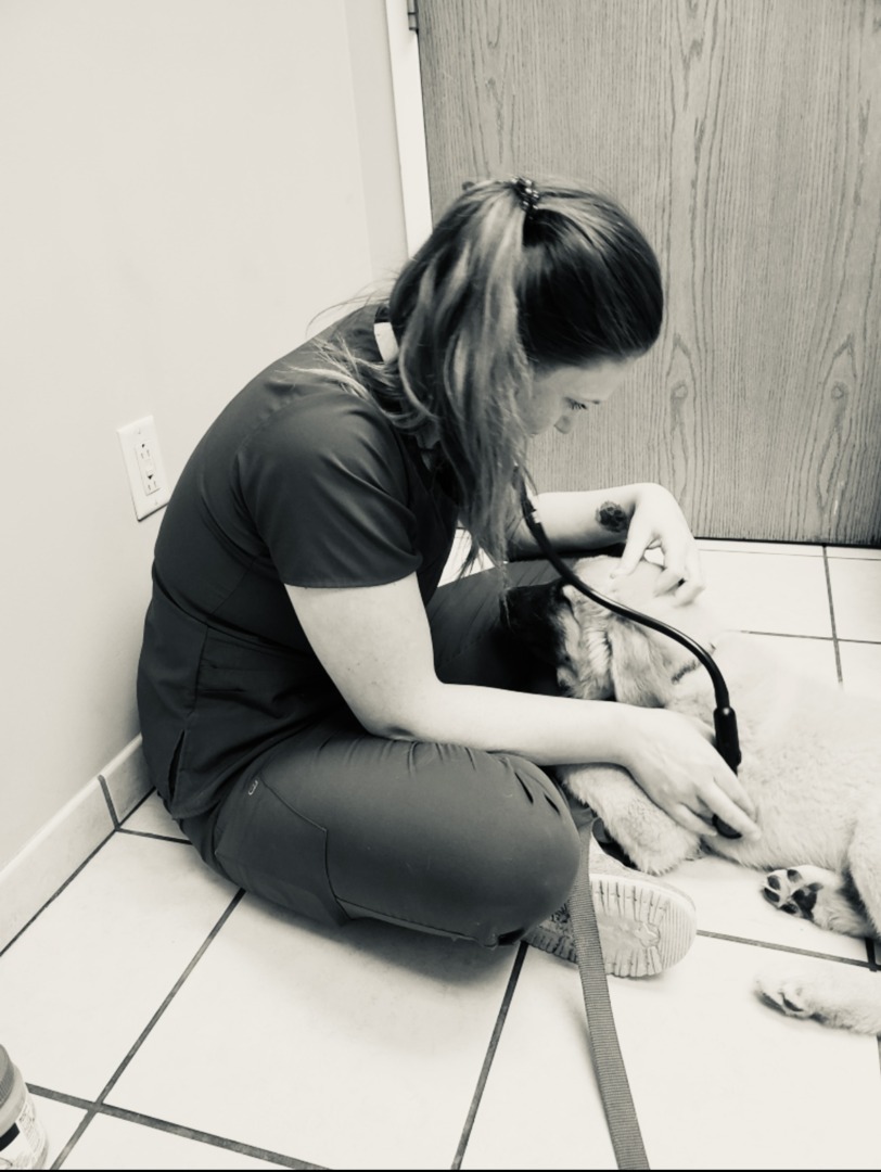 Alumna is medical director for Iowa vet hospital Newman Today