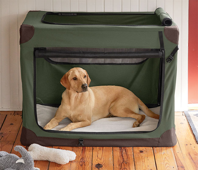 Folding Nylon Travel Dog Crate Feels Like Home, Anywhere Orvis News