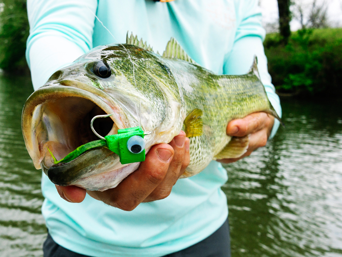 I am fish flying fish level 3 laderedu