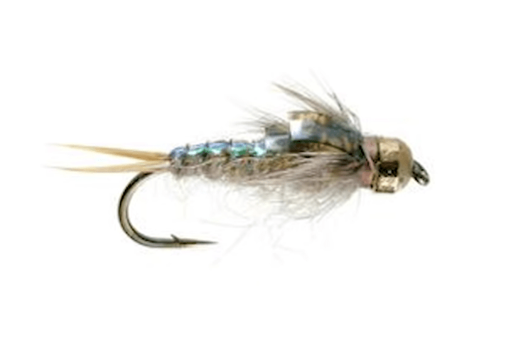 Video Top 5 Dry Flies for October 2018Dropper Edition! Orvis News