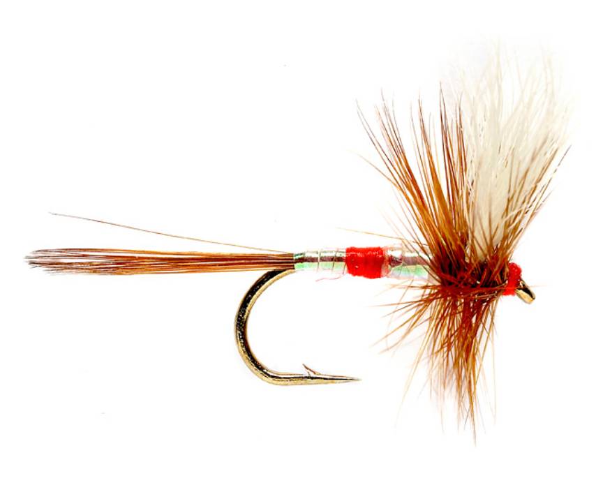 Video How to Tie the Patriot Dry Fly (Happy Fourth of July!) Orvis News
