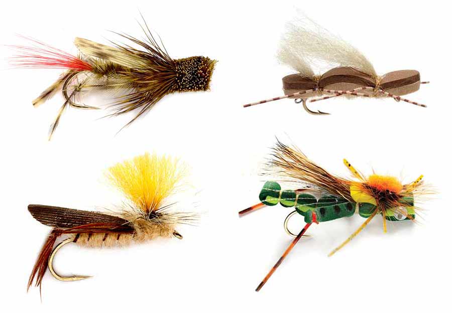 Pro Tips How to Make the Most of LateSummer "Hoppertunities" Orvis News