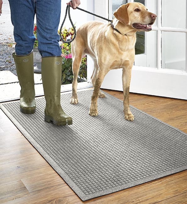 The Best Dog Gifts for 2020 Orvis News