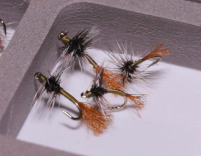 Video How to Tie the Griffith's Gnat Emerger Orvis News