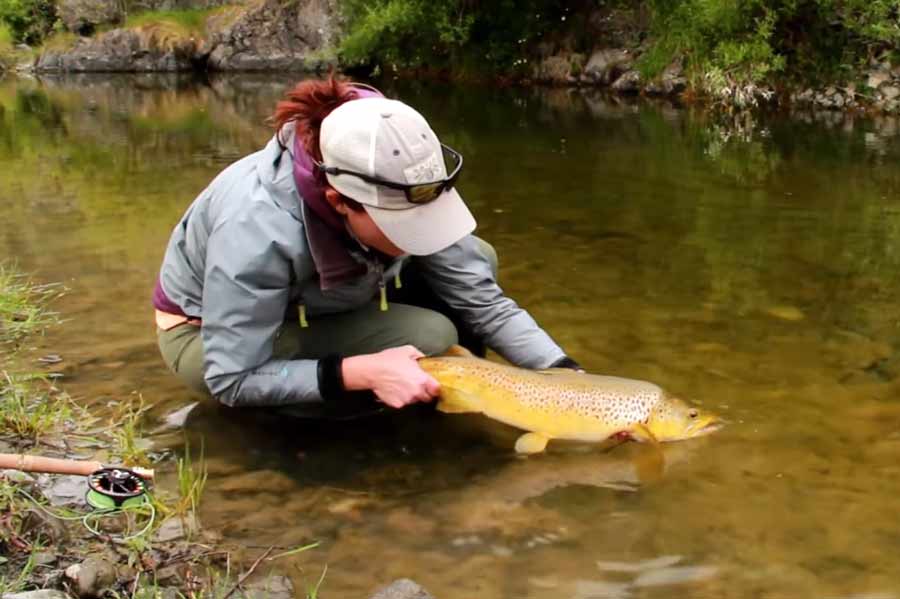 Master Class Monday Keep Feeding the Fish Orvis News