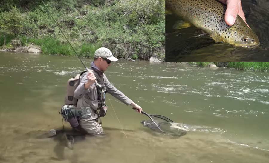 Pro Tips Five Steps to Landing More Fish Orvis News