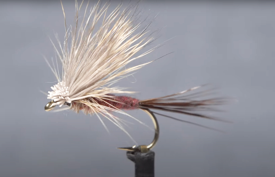 Video How to Tie an Isonychia Harrop's Hairwing Dun Orvis News