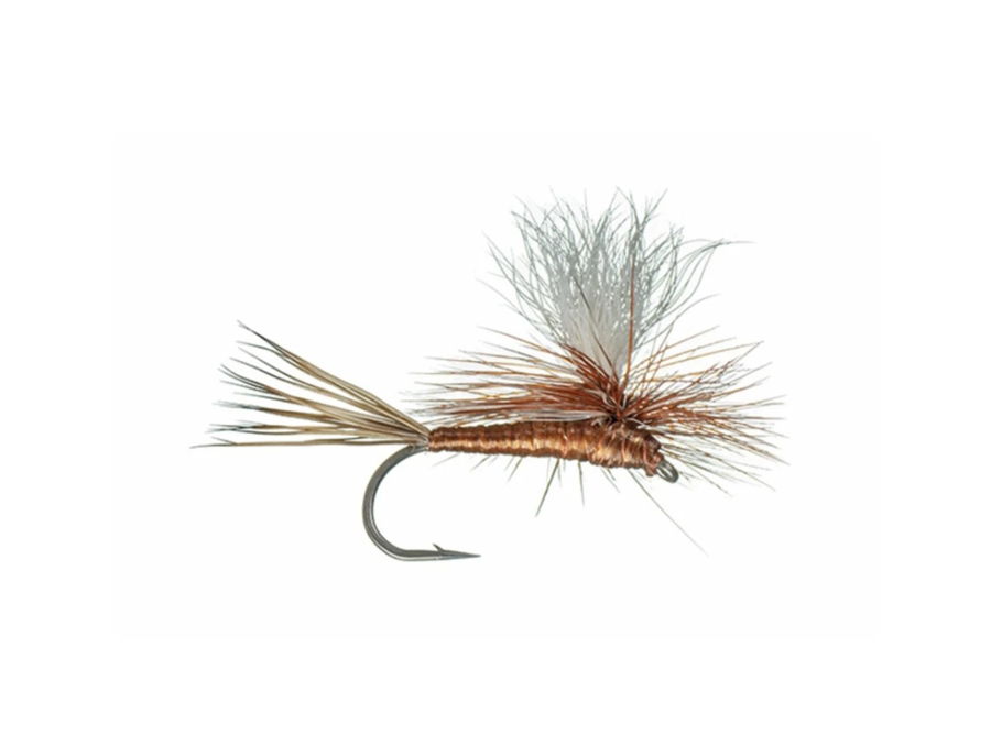 CopperHaze Orvis News