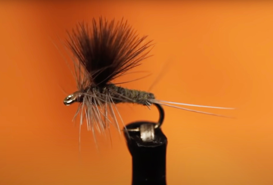 Video How to Tie a Great CDC BlueWinged Olive Orvis News