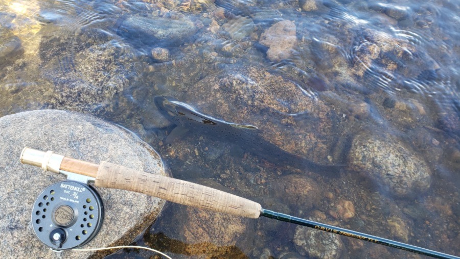 Pro Tips 3 Ways to Protect Light Tippet Orvis News