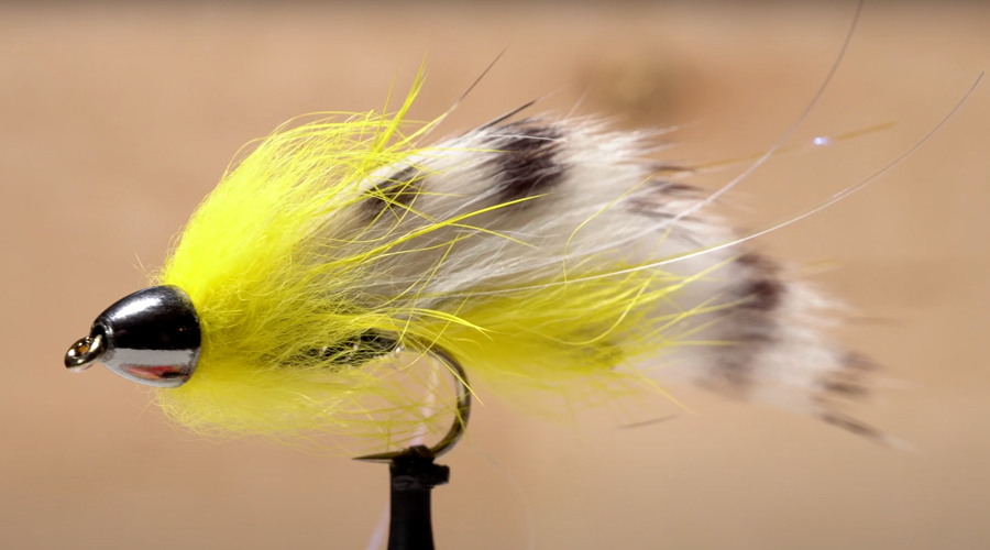 Video How to Tie the Icelandic Black Ghost Orvis News