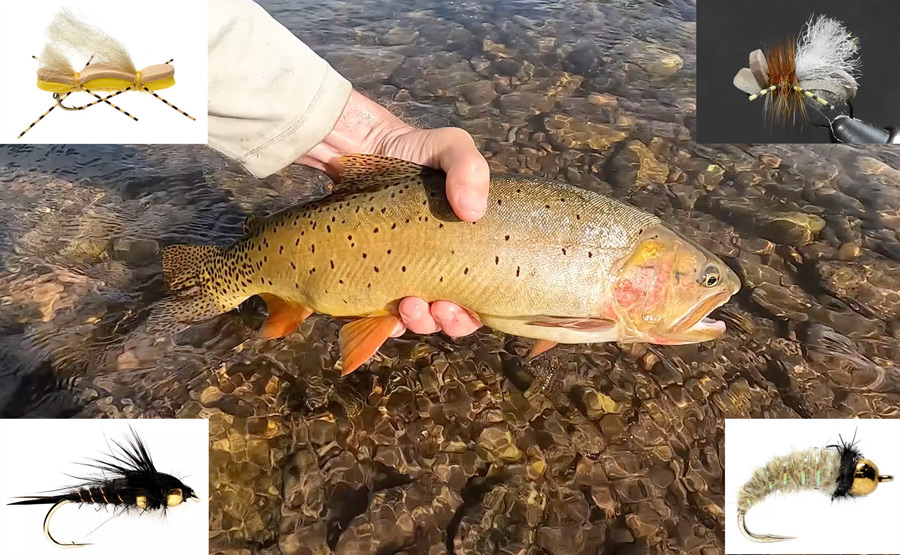 Video 10+ Proven HopperDropper Rigs Fishing Fly Tackle